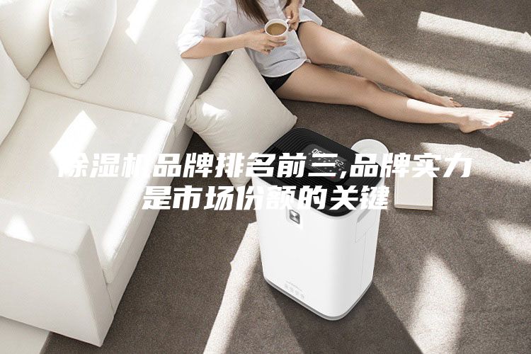 除湿机品牌排名前三,品牌实力是市场份额的关键