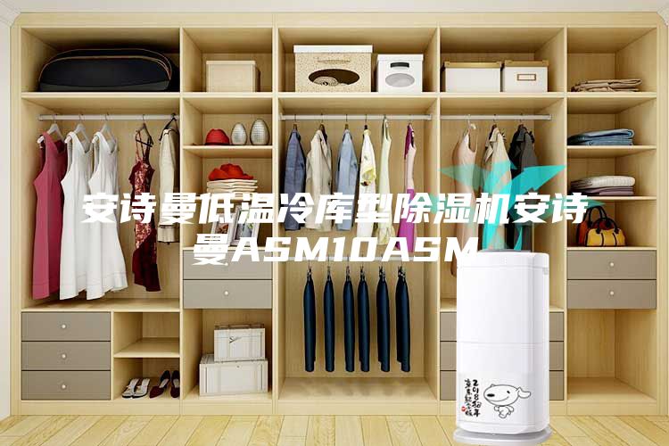 安诗曼低温冷库型除湿机安诗曼ASM10ASM
