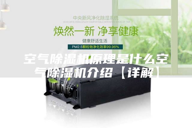 空气除湿机原理是什么空气除湿机介绍【详解】