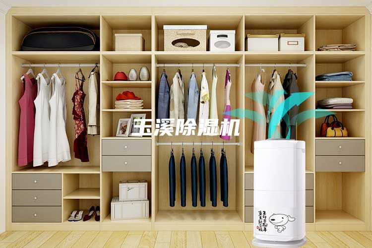 玉溪除湿机