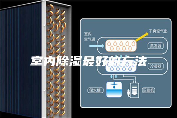 室内除湿最好的方法