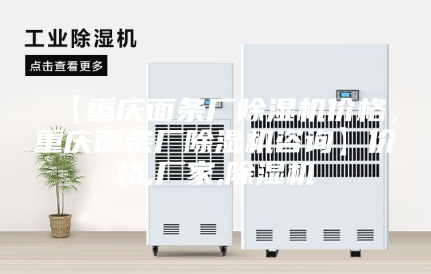 【重庆面条厂除湿机价格，重庆面条厂除湿机咨询】价格,厂家,除湿机