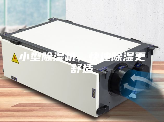 小型除湿机，快速除湿更舒适