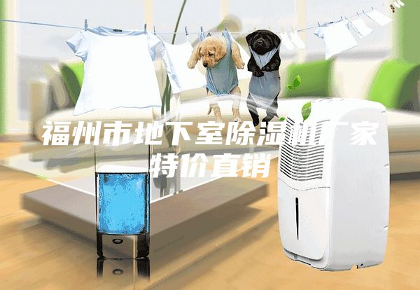 福州市地下室除湿机厂家特价直销