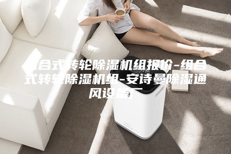 组合式转轮除湿机组报价-组合式转轮除湿机组-安诗曼除湿通风设备厂