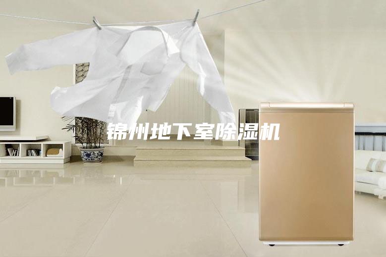 锦州地下室除湿机