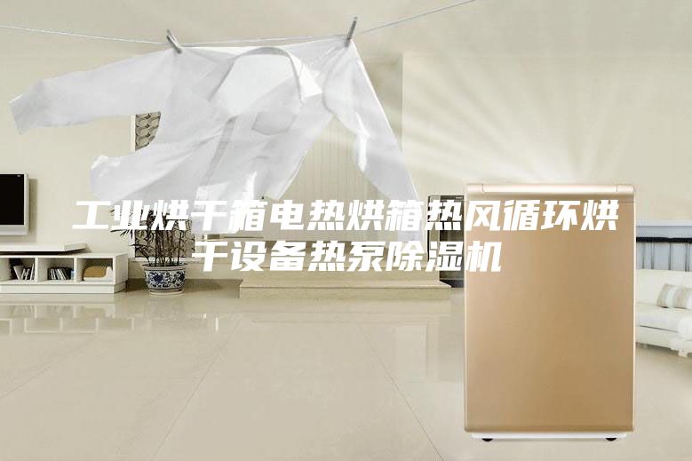 工业烘干箱电热烘箱热风循环烘干设备热泵除湿机