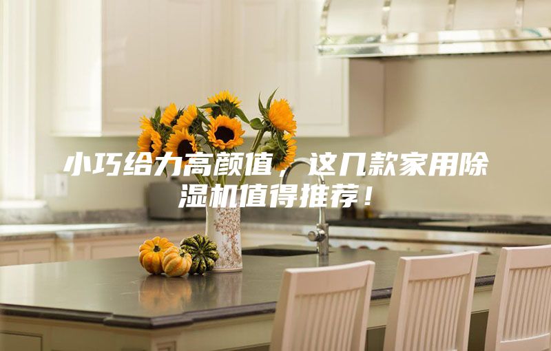 小巧给力高颜值，这几款家用除湿机值得推荐！