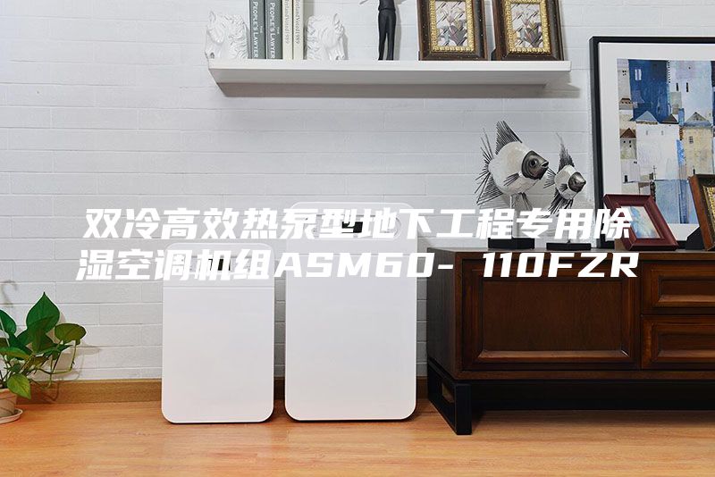 双冷高效热泵型地下工程专用除湿空调机组ASM60- 110FZR