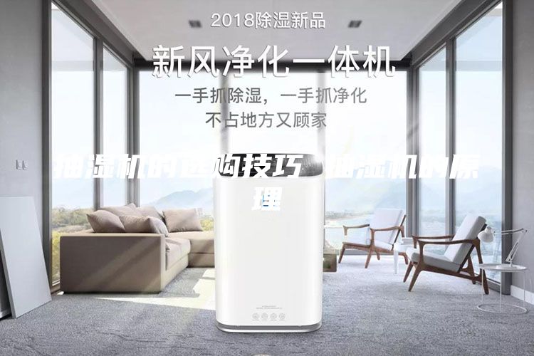 抽湿机的选购技巧 抽湿机的原理