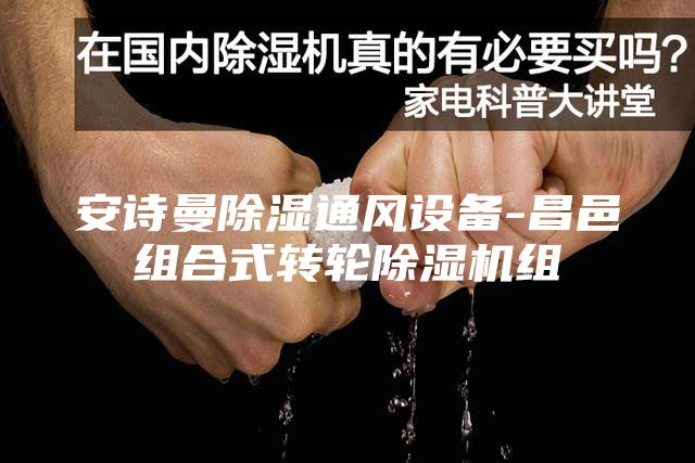 安诗曼除湿通风设备-昌邑组合式转轮除湿机组