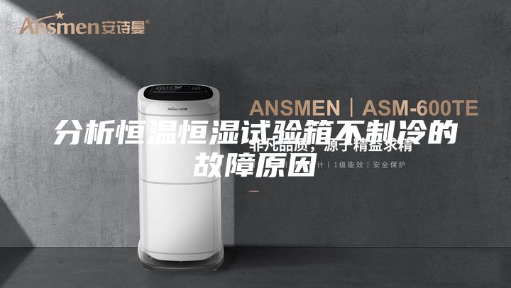 分析恒温恒湿试验箱不制冷的故障原因