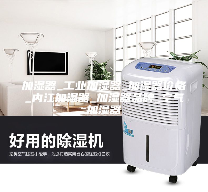 加湿器_工业加湿器_加湿器价格_内江加湿器_加湿器品牌_空气加湿器