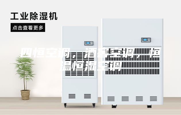 四恒空调，酒窖空调，恒温恒湿空调