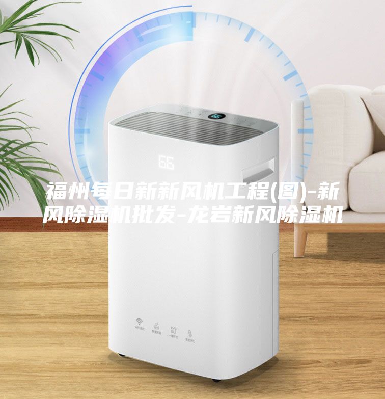 福州每日新新风机工程(图)-新风除湿机批发-龙岩新风除湿机