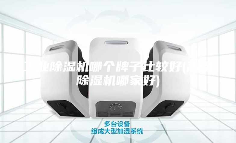 工业除湿机哪个牌子比较好(高温除湿机哪家好)