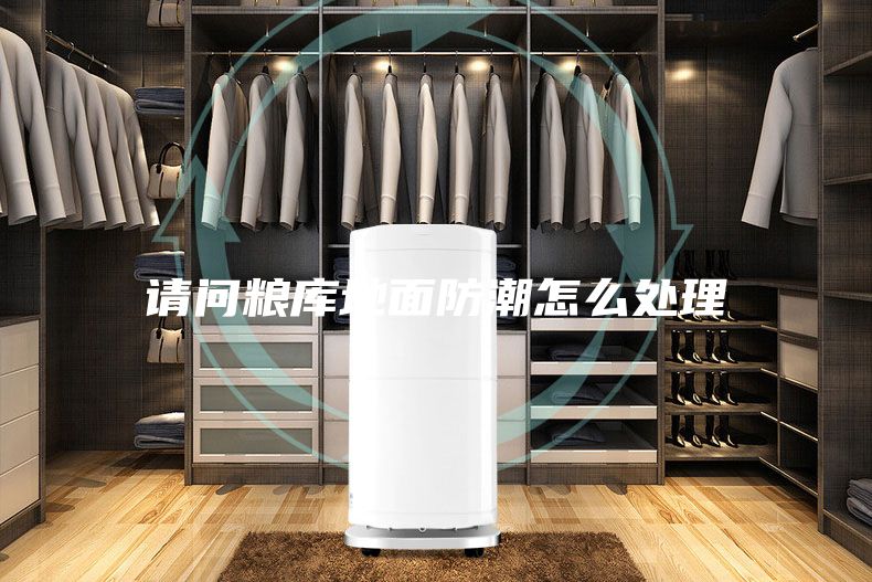 请问粮库地面防潮怎么处理