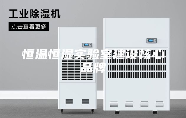 恒温恒湿实验室建设核心品牌