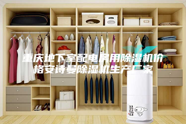 重庆地下室配电房用除湿机价格安诗曼除湿机生产厂家