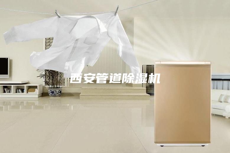 西安管道除湿机
