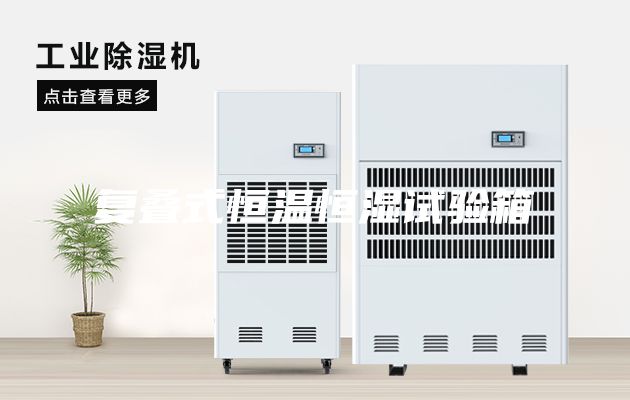 复叠式恒温恒湿试验箱