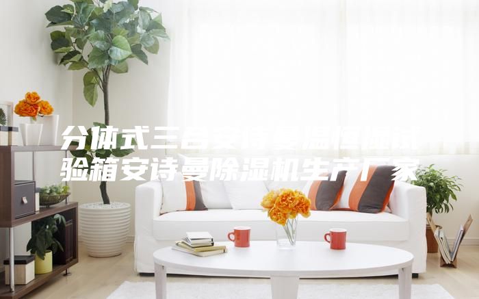 分体式三合安诗曼温恒湿试验箱安诗曼除湿机生产厂家