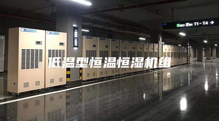 低温型恒温恒湿机组