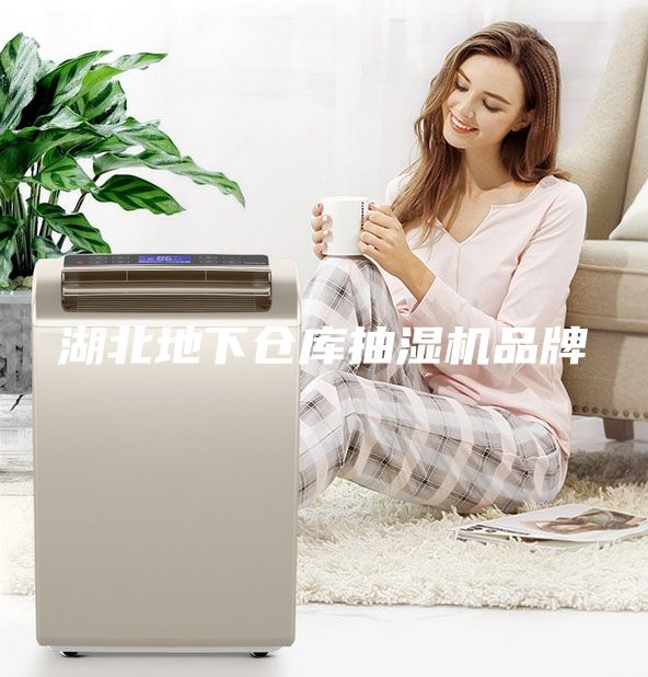 湖北地下仓库抽湿机品牌