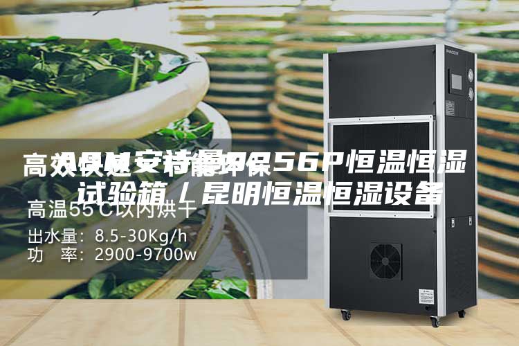 ASM安诗曼9256P恒温恒湿试验箱／昆明恒温恒湿设备