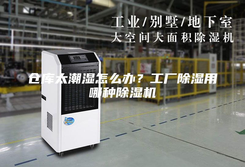 仓库太潮湿怎么办？工厂除湿用哪种除湿机