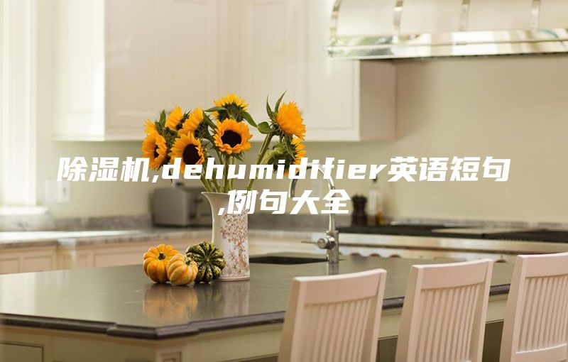 除湿机,dehumidifier英语短句,例句大全