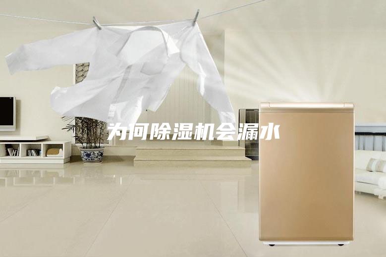 为何除湿机会漏水