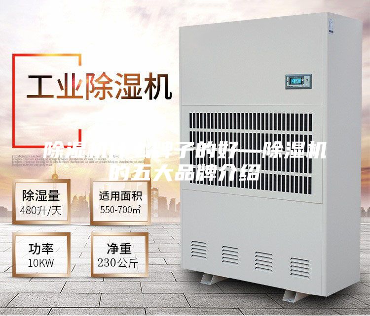 除湿机什么牌子的好—除湿机的五大品牌介绍