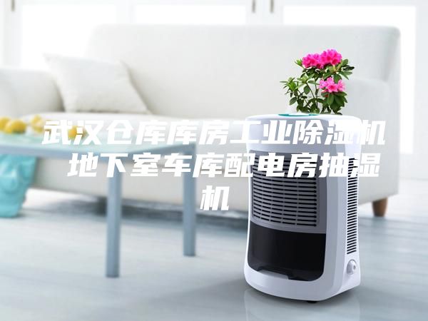 武汉仓库库房工业除湿机 地下室车库配电房抽湿机