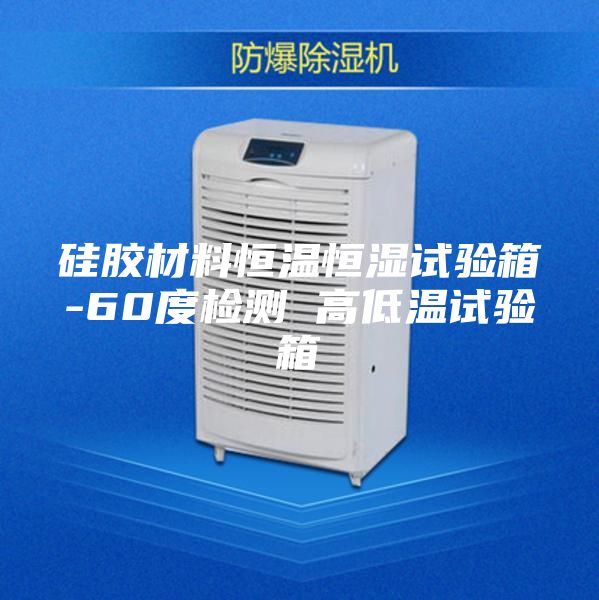 硅胶材料恒温恒湿试验箱-60度检测 高低温试验箱