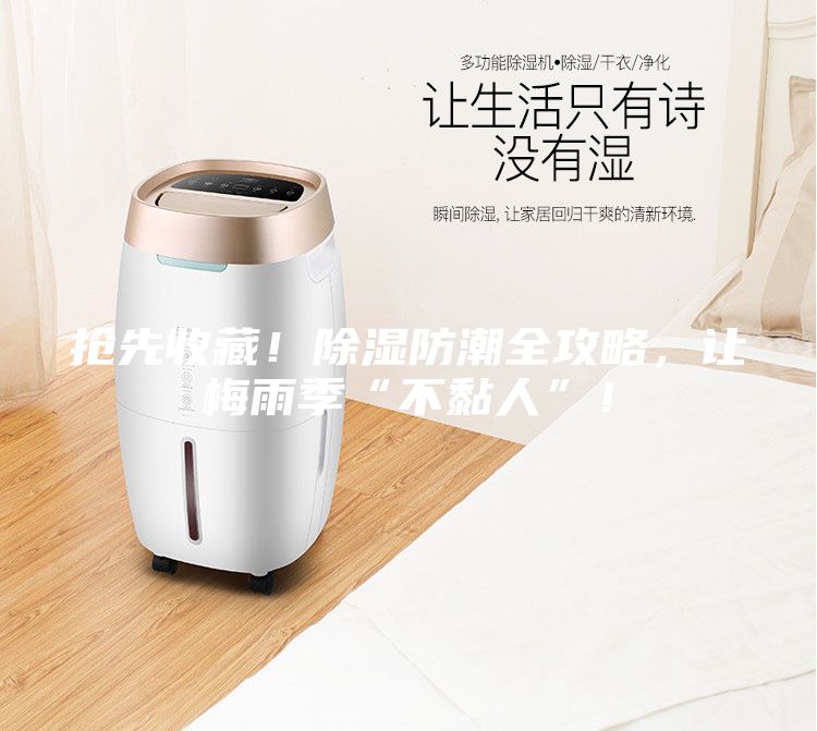 抢先收藏！除湿防潮全攻略，让梅雨季“不黏人”！