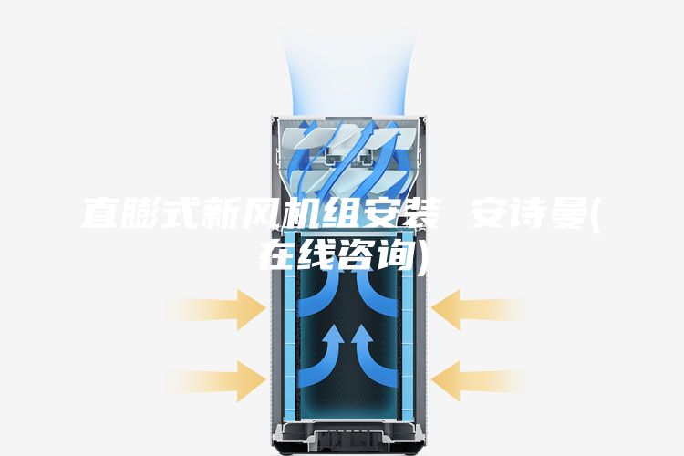 直膨式新风机组安装 安诗曼(在线咨询)