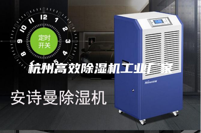 杭州高效除湿机工业厂家