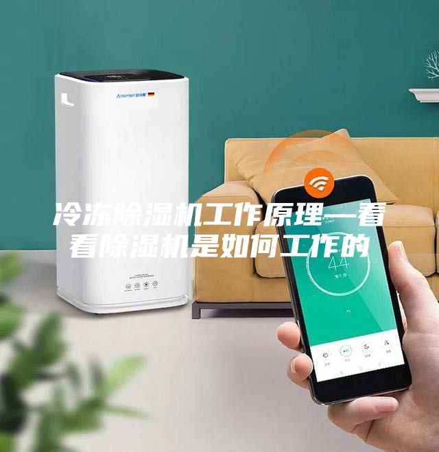 冷冻除湿机工作原理—看看除湿机是如何工作的