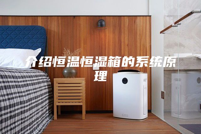 介绍恒温恒湿箱的系统原理