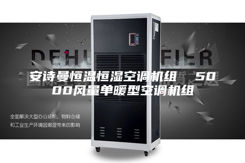 安诗曼恒温恒湿空调机组  5000风量单暖型空调机组