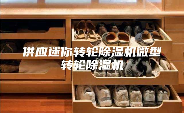 供应迷你转轮除湿机微型转轮除湿机