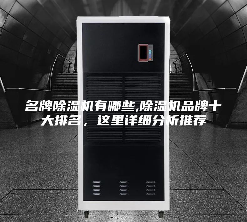名牌除湿机有哪些,除湿机品牌十大排名，这里详细分析推荐