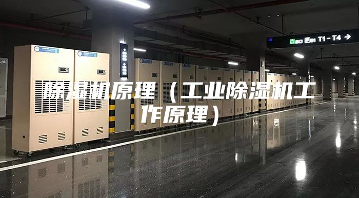 除湿机原理（工业除湿机工作原理）