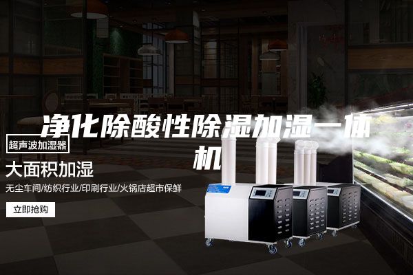 净化除酸性除湿加湿一体机