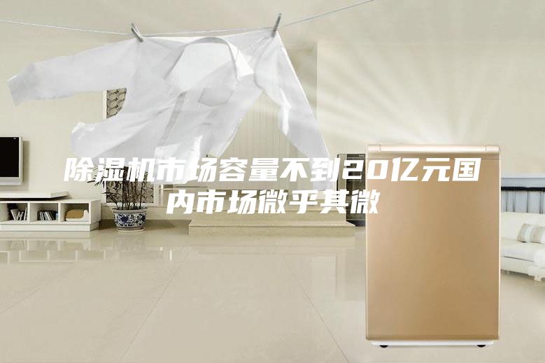 除湿机市场容量不到20亿元国内市场微乎其微