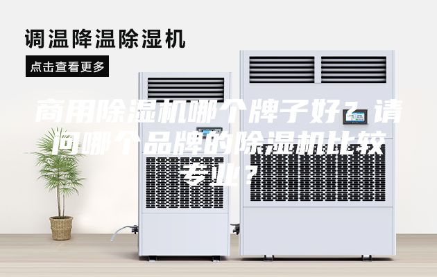 商用除湿机哪个牌子好？请问哪个品牌的除湿机比较专业？