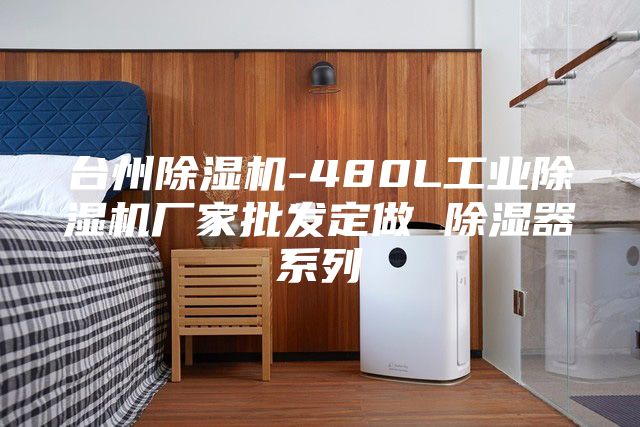 台州除湿机-480L工业除湿机厂家批发定做 除湿器系列