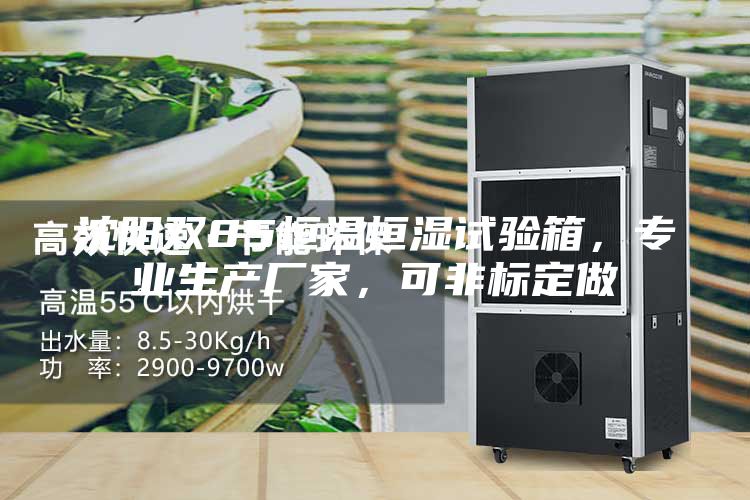沈阳双85恒温恒湿试验箱，专业生产厂家，可非标定做