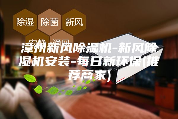 漳州新风除湿机-新风除湿机安装-每日新环保(推荐商家)